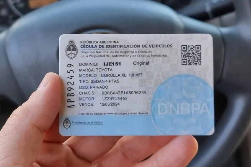 Nuevas disposiciones sobre la cédula azul y la cédula verde